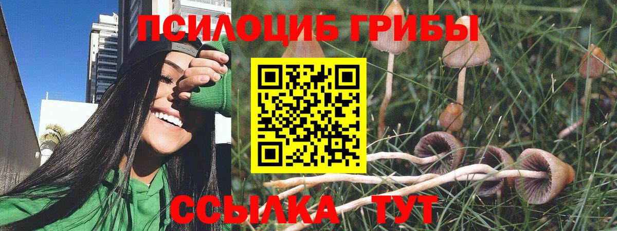 Псилоцибиновые грибы ЛСД Кингисепп