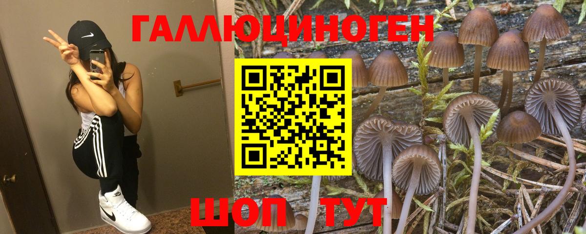 НБОМе  APVP СОЛЬ   Кингисепп  ГАШИШ  МЕФ кристаллы  Вход с VPN  Канабис  COCAIN 