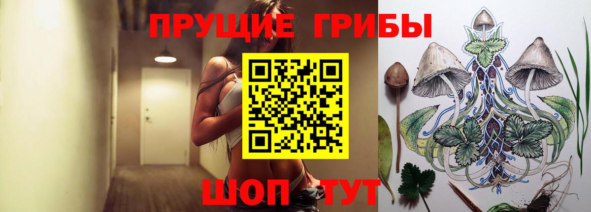 Галлюциногенные грибы MAGIC MUSHROOMS  Вход с VPN  Кингисепп 